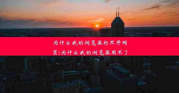 为什么我的浏览器打不开网页;为什么我的浏览器用不了