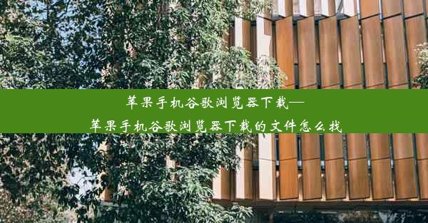 苹果手机谷歌浏览器下载—苹果手机谷歌浏览器下载的文件怎么找