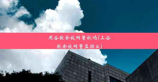 用谷歌会被网警抓吗(上谷歌会被网警监控么)