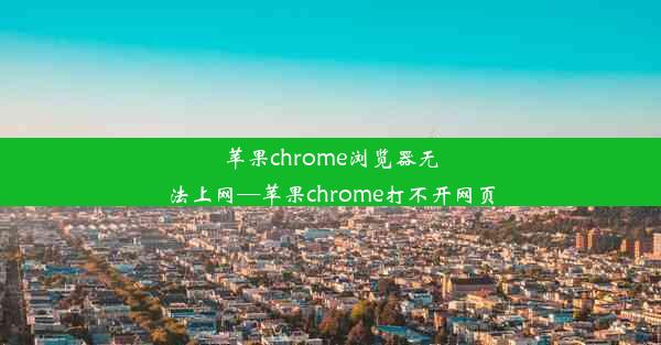 苹果chrome浏览器无法上网—苹果chrome打不开网页