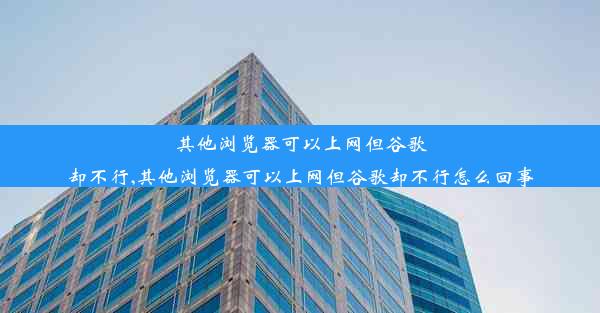 其他浏览器可以上网但谷歌却不行,其他浏览器可以上网但谷歌却不行怎么回事