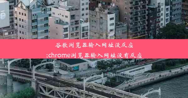 谷歌浏览器输入网址没反应;chrome浏览器输入网址没有反应