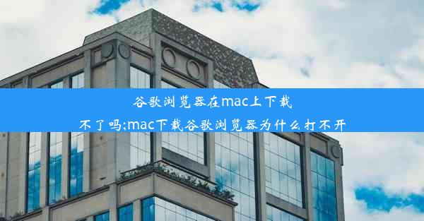 谷歌浏览器在mac上下载不了吗;mac下载谷歌浏览器为什么打不开