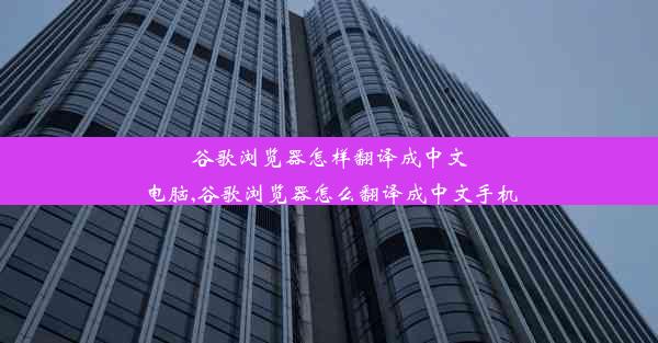 谷歌浏览器怎样翻译成中文电脑,谷歌浏览器怎么翻译成中文手机