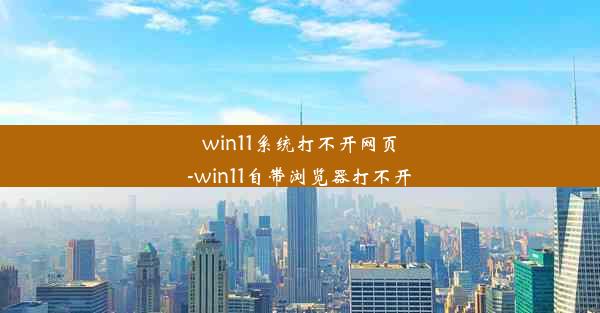 win11系统打不开网页-win11自带浏览器打不开