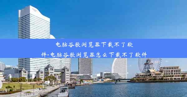 电脑谷歌浏览器下载不了软件-电脑谷歌浏览器怎么下载不了软件