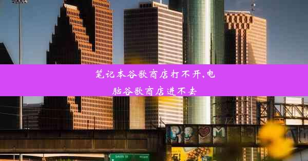 笔记本谷歌商店打不开,电脑谷歌商店进不去