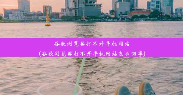 谷歌浏览器打不开手机网站(谷歌浏览器打不开手机网站怎么回事)