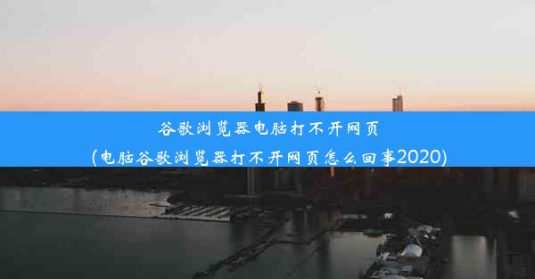 谷歌浏览器电脑打不开网页(电脑谷歌浏览器打不开网页怎么回事2020)