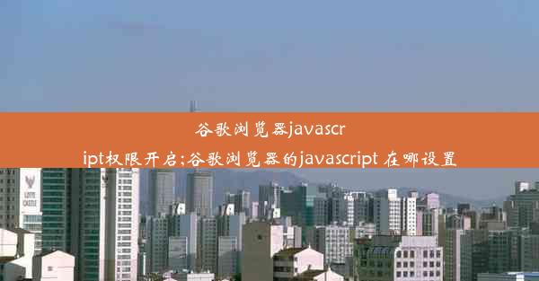 谷歌浏览器javascript权限开启;谷歌浏览器的javascript 在哪设置