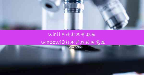 win11系统打不开谷歌_window10打不开谷歌浏览器