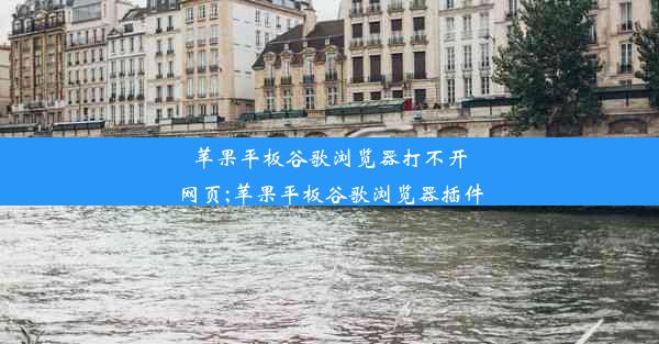 苹果平板谷歌浏览器打不开网页;苹果平板谷歌浏览器插件