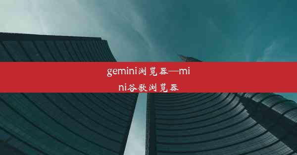 gemini浏览器—mini谷歌浏览器