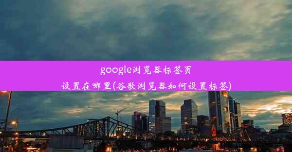 google浏览器标签页设置在哪里(谷歌浏览器如何设置标签)