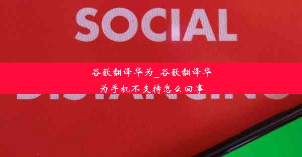 谷歌翻译华为_谷歌翻译华为手机不支持怎么回事