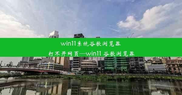 win11系统谷歌浏览器打不开网页—win11 谷歌浏览器