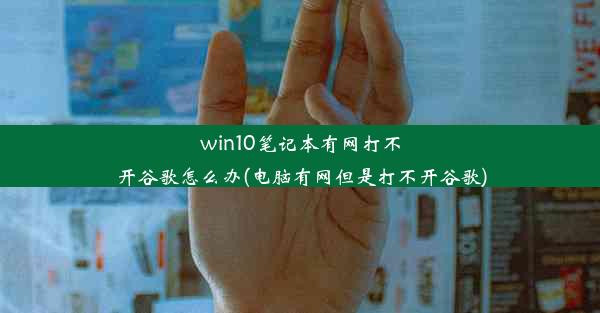 win10笔记本有网打不开谷歌怎么办(电脑有网但是打不开谷歌)