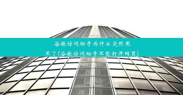 谷歌访问助手为什么突然用不了(谷歌访问助手不能打开网页)