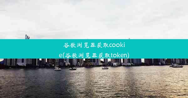 谷歌浏览器获取cookie(谷歌浏览器获取token)