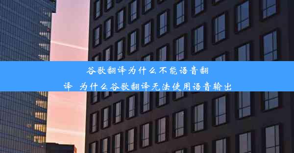 谷歌翻译为什么不能语音翻译_为什么谷歌翻译无法使用语音输出