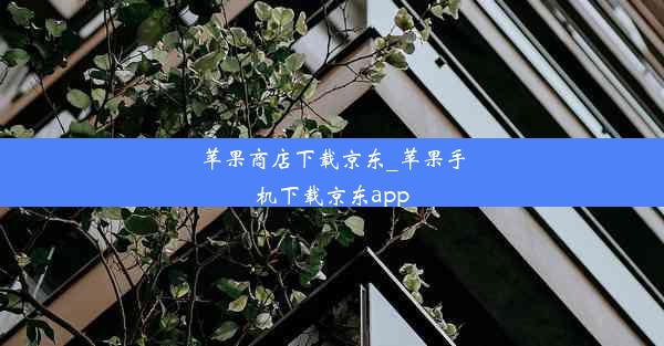 苹果商店下载京东_苹果手机下载京东app