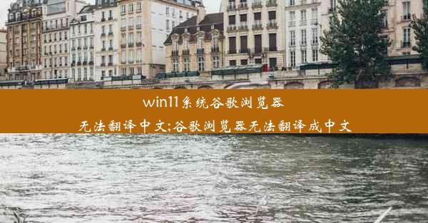 win11系统谷歌浏览器无法翻译中文;谷歌浏览器无法翻译成中文