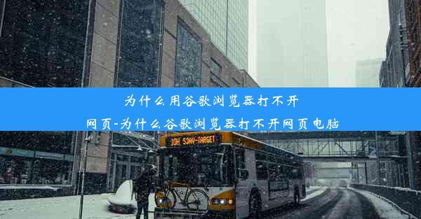 为什么用谷歌浏览器打不开网页-为什么谷歌浏览器打不开网页电脑