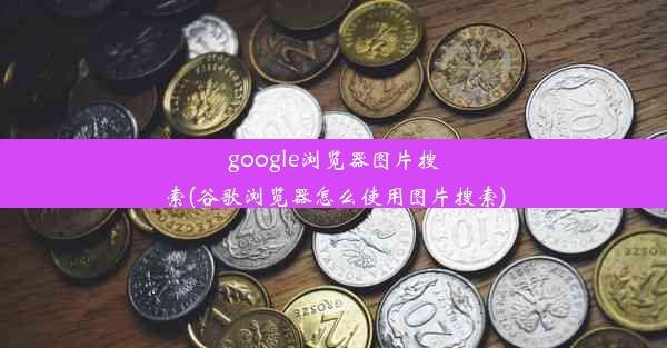 google浏览器图片搜索(谷歌浏览器怎么使用图片搜索)