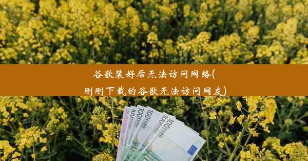 谷歌装好后无法访问网络(刚刚下载的谷歌无法访问网友)