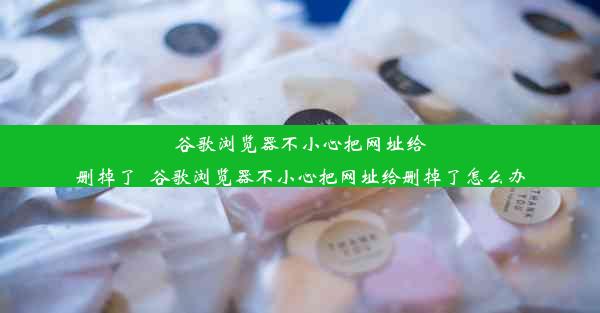 谷歌浏览器不小心把网址给删掉了_谷歌浏览器不小心把网址给删掉了怎么办