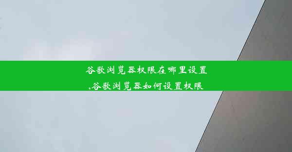 谷歌浏览器权限在哪里设置,谷歌浏览器如何设置权限