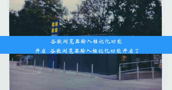 谷歌浏览器输入框记忆功能开启_谷歌浏览器输入框记忆功能开启了