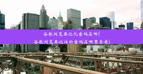 谷歌浏览器记忆密码在哪(谷歌浏览器记住的密码在哪里查看)