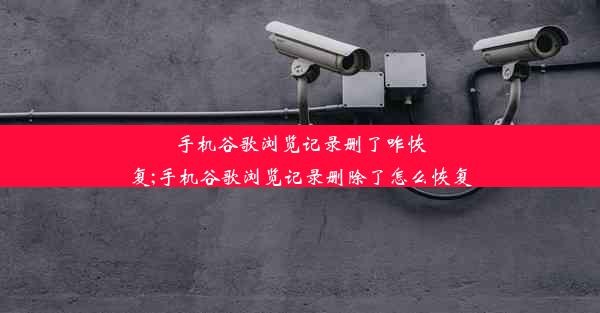 手机谷歌浏览记录删了咋恢复;手机谷歌浏览记录删除了怎么恢复