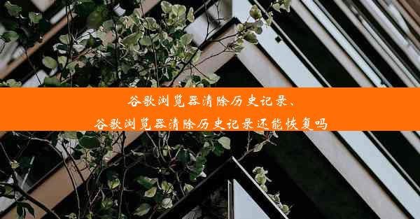 谷歌浏览器清除历史记录、谷歌浏览器清除历史记录还能恢复吗