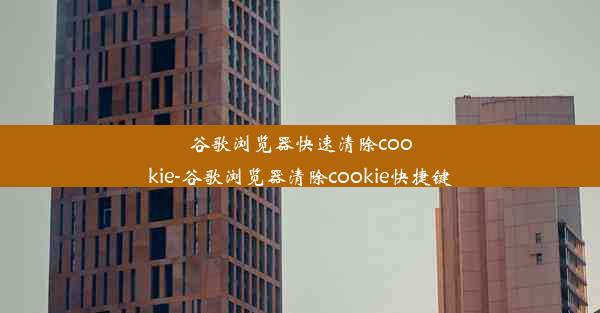 谷歌浏览器快速清除cookie-谷歌浏览器清除cookie快捷键