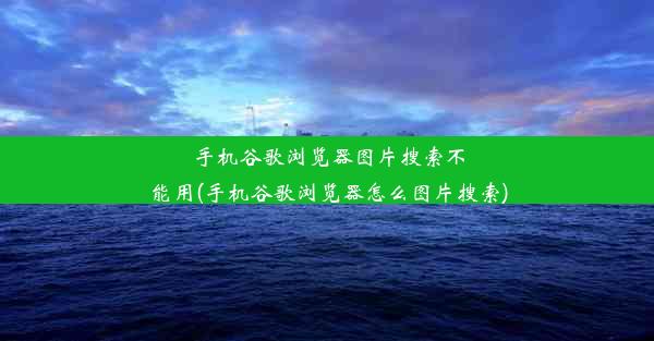 手机谷歌浏览器图片搜索不能用(手机谷歌浏览器怎么图片搜索)