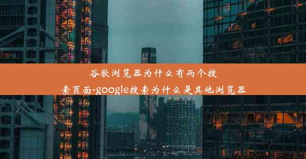 谷歌浏览器为什么有两个搜索页面-google搜索为什么是其他浏览器