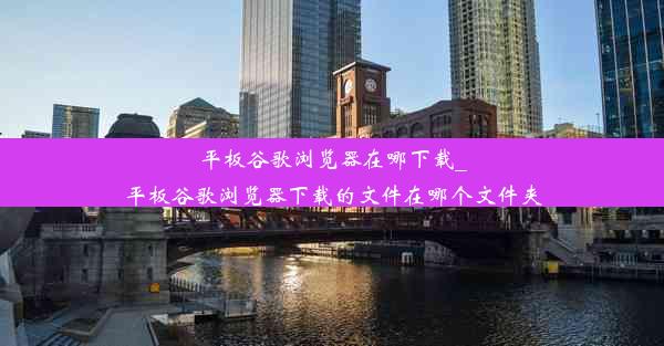 平板谷歌浏览器在哪下载_平板谷歌浏览器下载的文件在哪个文件夹