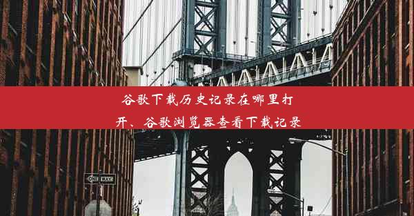 谷歌下载历史记录在哪里打开、谷歌浏览器查看下载记录