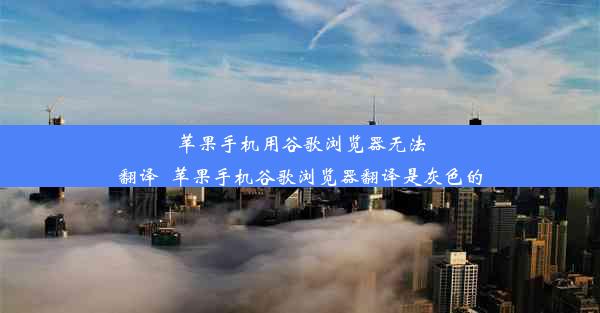 苹果手机用谷歌浏览器无法翻译_苹果手机谷歌浏览器翻译是灰色的