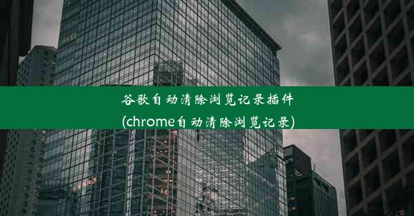 谷歌自动清除浏览记录插件(chrome自动清除浏览记录)