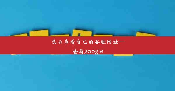 怎么查看自己的谷歌网址—查看google