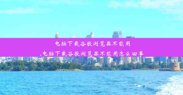 电脑下载谷歌浏览器不能用,电脑下载谷歌浏览器不能用怎么回事