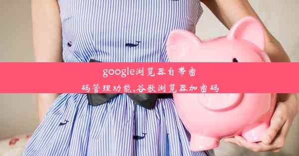 google浏览器自带密码管理功能,谷歌浏览器加密码