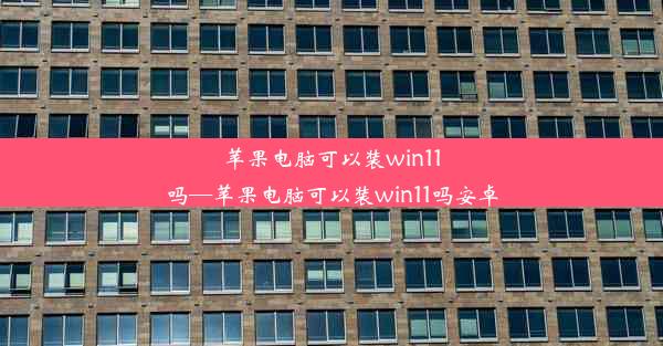 苹果电脑可以装win11吗—苹果电脑可以装win11吗安卓