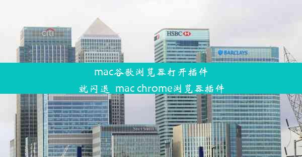 mac谷歌浏览器打开插件就闪退_mac chrome浏览器插件