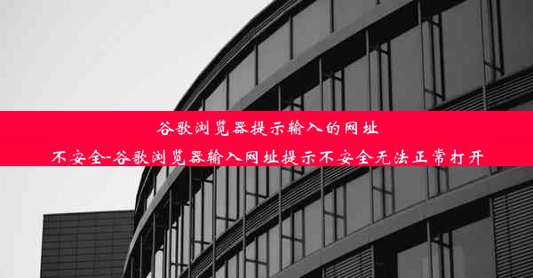 谷歌浏览器提示输入的网址不安全-谷歌浏览器输入网址提示不安全无法正常打开