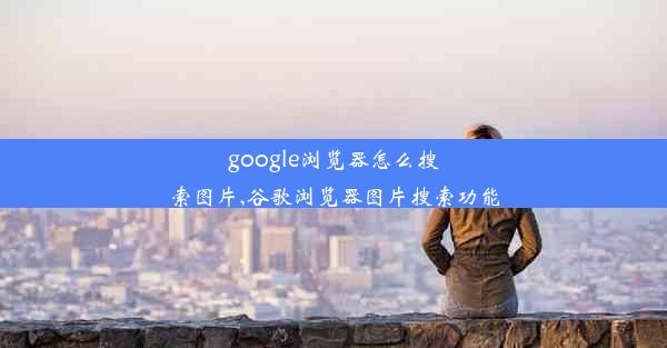 google浏览器怎么搜索图片,谷歌浏览器图片搜索功能