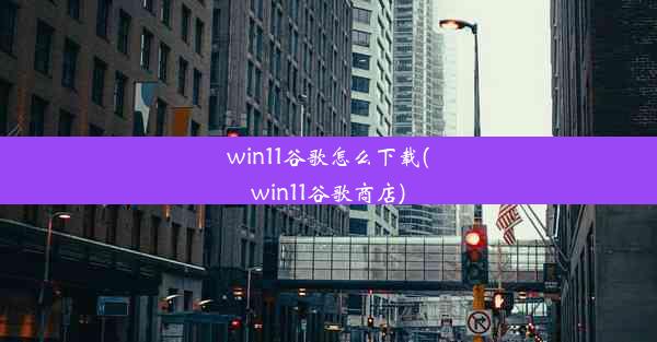 win11谷歌怎么下载(win11谷歌商店)